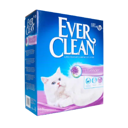 Ever Clean