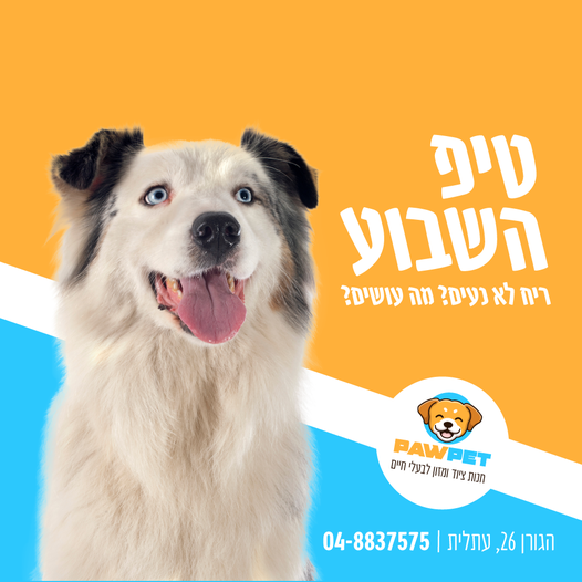 ריח רע אצל כלבים