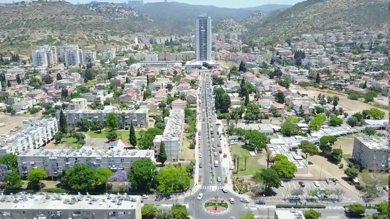 חנות חיות בטירת כרמל