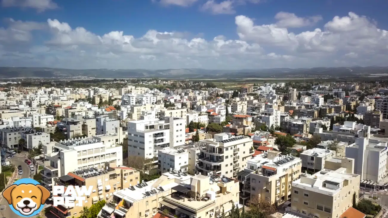 חנות חיות בנהריה